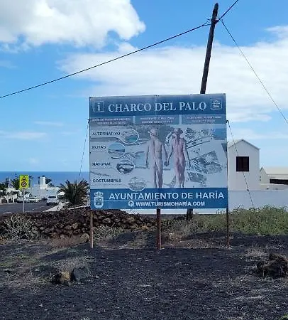 Harmony تشاركو ديل بالو